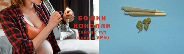 дурь Арсеньев